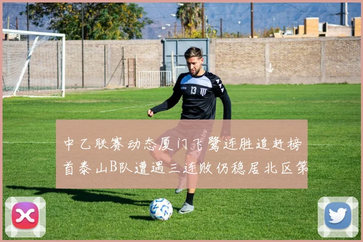 中乙联赛动态厦门飞鹭连胜追赶榜首泰山B队遭遇三连败仍稳居北区第三